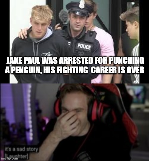 poor penguin buuuuutt......... | JAKE PAUL WAS ARRESTED FOR PUNCHING A PENGUIN, HIS FIGHTING  CAREER IS OVER | image tagged in funny memes | made w/ Imgflip meme maker