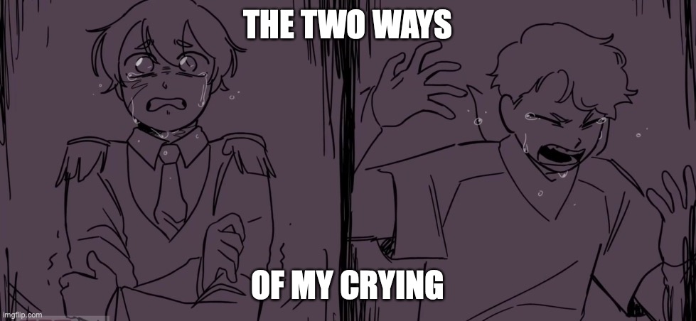 who can relate to the right one? | THE TWO WAYS; OF MY CRYING | image tagged in tommy tubbo crying | made w/ Imgflip meme maker