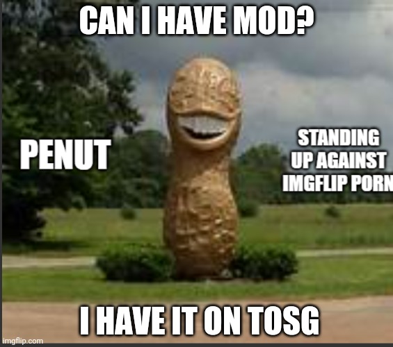 Can i | CAN I HAVE MOD? I HAVE IT ON TOSG | image tagged in large penut | made w/ Imgflip meme maker