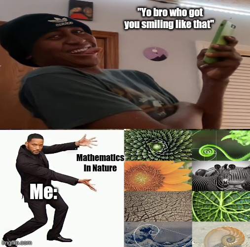 Mathematics in nature | "Yo bro who got you smiling like that"; Mathematics in Nature; Me: | image tagged in memes | made w/ Imgflip meme maker