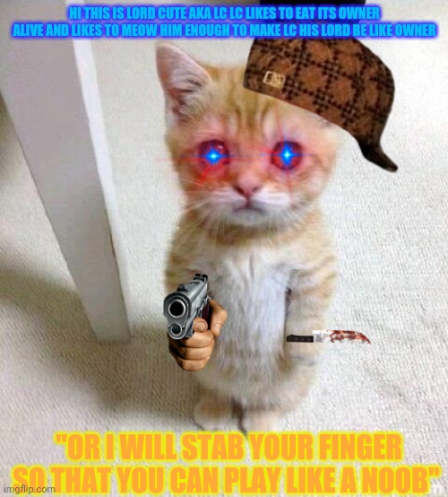 Cute Cat | HI THIS IS LORD CUTE AKA LC LC LIKES TO EAT ITS OWNER ALIVE AND LIKES TO MEOW HIM ENOUGH TO MAKE LC HIS LORD BE LIKE OWNER; "OR I WILL STAB YOUR FINGER SO THAT YOU CAN PLAY LIKE A NOOB" | image tagged in memes,cute cat | made w/ Imgflip meme maker