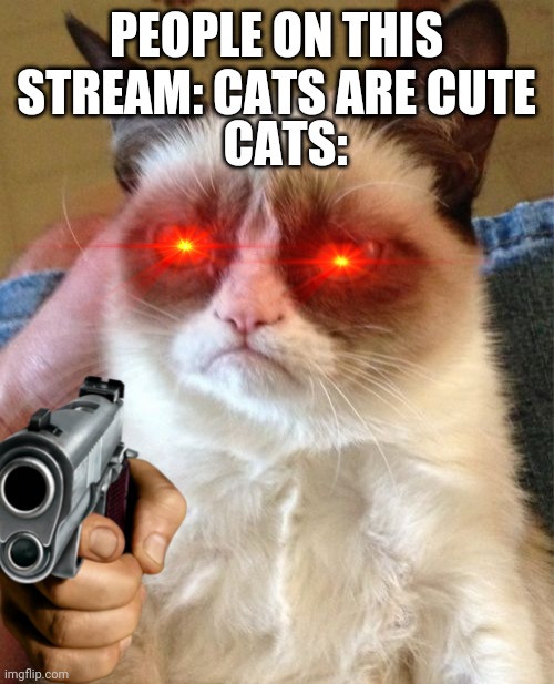 What did you say? | CATS:; PEOPLE ON THIS STREAM: CATS ARE CUTE | image tagged in memes,grumpy cat,gun | made w/ Imgflip meme maker