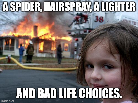 A spider, hairspray, a lighter, and bad life choices. | A SPIDER, HAIRSPRAY, A LIGHTER; AND BAD LIFE CHOICES. | image tagged in memes,disaster girl | made w/ Imgflip meme maker