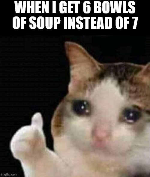 the saddest meme i'm gonna post |  WHEN I GET 6 BOWLS OF SOUP INSTEAD OF 7 | image tagged in sad thumbs up cat,hunger,food | made w/ Imgflip meme maker