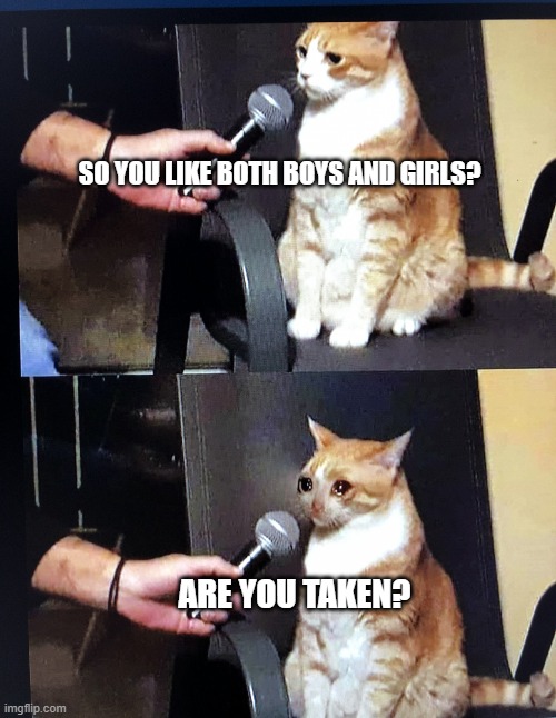 Cat interview crying | SO YOU LIKE BOTH BOYS AND GIRLS? ARE YOU TAKEN? | image tagged in cat interview crying,funny memes | made w/ Imgflip meme maker
