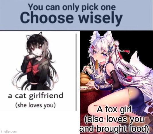 Choose wisely |  A fox girl
(also loves you and brought food) | image tagged in choose wisely | made w/ Imgflip meme maker