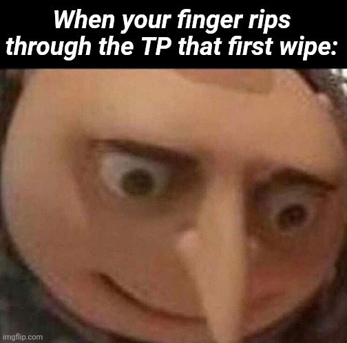 Why is the TP so thin | When your finger rips through the TP that first wipe: | image tagged in gru meme | made w/ Imgflip meme maker