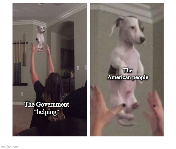 Tossing a puppy | The American people; The Government "helping" | image tagged in tossing a puppy,memes,government,us government | made w/ Imgflip meme maker