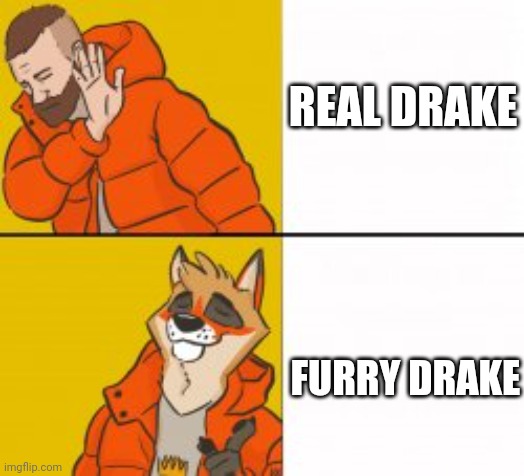Furry Drake is much better | REAL DRAKE; FURRY DRAKE | image tagged in furry drake,furry,furries | made w/ Imgflip meme maker