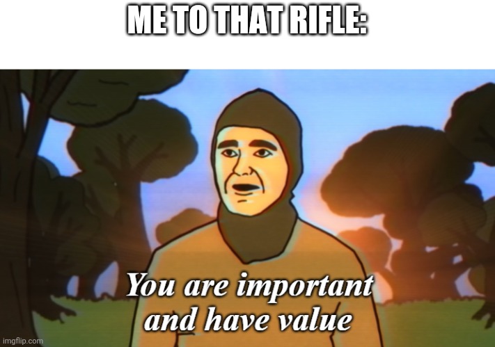 You are important and have value | ME TO THAT RIFLE: | image tagged in you are important and have value | made w/ Imgflip meme maker