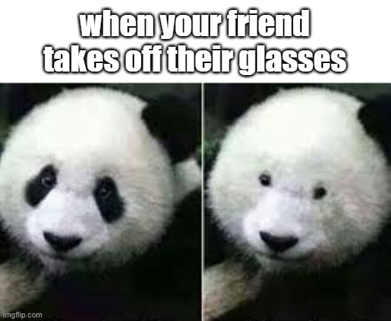 this is true for me | when your friend takes off their glasses | image tagged in panda sin rimel | made w/ Imgflip meme maker