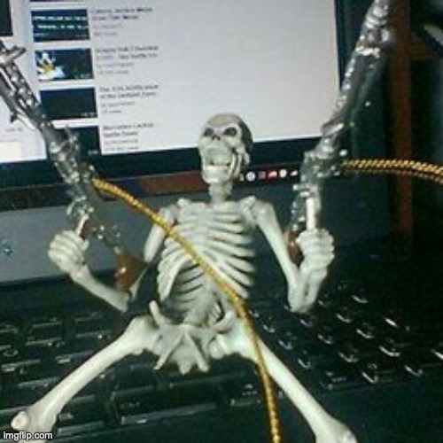 skeleton with guns | image tagged in skeleton with guns | made w/ Imgflip meme maker
