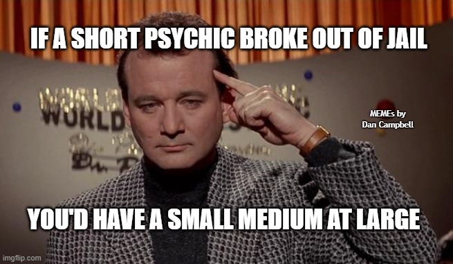 World of the psychic | IF A SHORT PSYCHIC BROKE OUT OF JAIL; MEMEs by Dan Campbell; YOU'D HAVE A SMALL MEDIUM AT LARGE | image tagged in world of the psychic | made w/ Imgflip meme maker