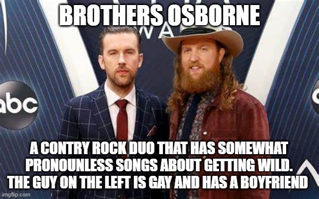 more lgbtq+ musicians! | BROTHERS OSBORNE; A CONTRY ROCK DUO THAT HAS SOMEWHAT PRONOUNLESS SONGS ABOUT GETTING WILD. THE GUY ON THE LEFT IS GAY AND HAS A BOYFRIEND | made w/ Imgflip meme maker