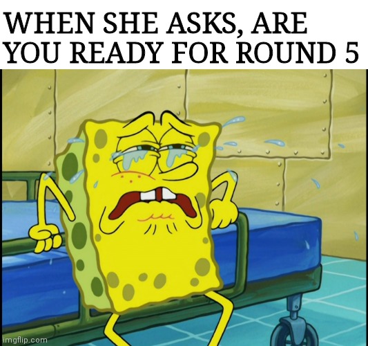 No I'm not | WHEN SHE ASKS, ARE YOU READY FOR ROUND 5 | image tagged in spongebob | made w/ Imgflip meme maker