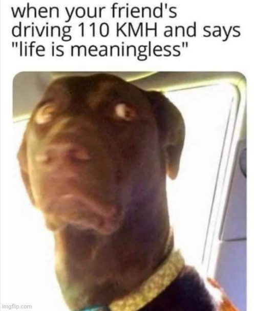 image tagged in funny memes | made w/ Imgflip meme maker