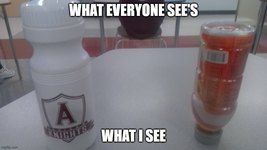 Point of vision | WHAT EVERYONE SEE'S; WHAT I SEE | image tagged in point of vision | made w/ Imgflip meme maker