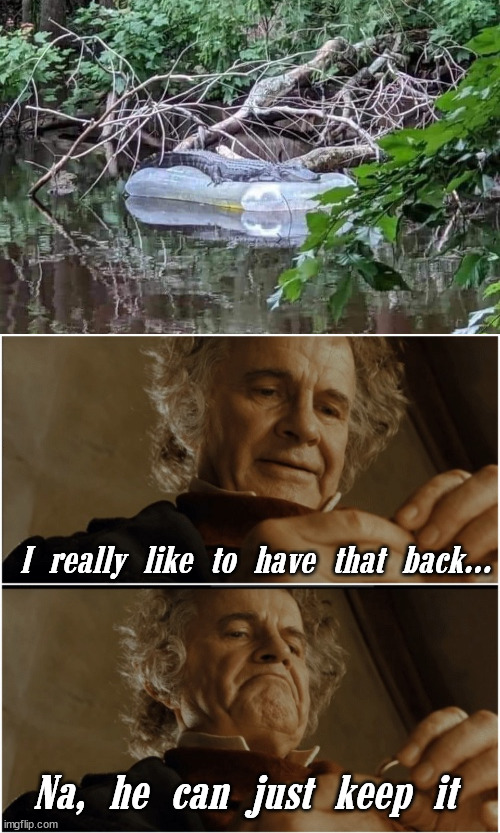 I really like to have that back... Na, he can just keep it | image tagged in bilbo - why shouldn t i keep it | made w/ Imgflip meme maker