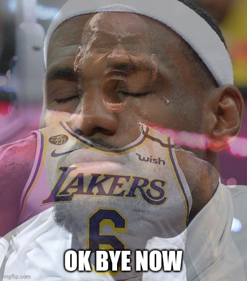 Crying LeBron James | OK BYE NOW | image tagged in crying lebron james | made w/ Imgflip meme maker