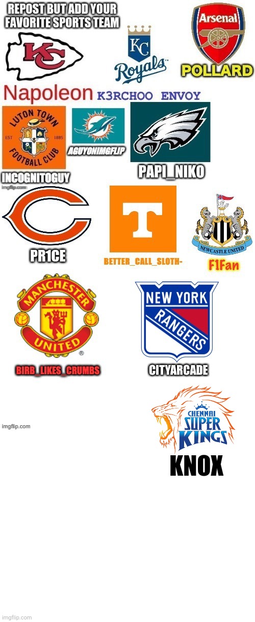 No one specified which sport, so here you go | KNOX | image tagged in blank white template | made w/ Imgflip meme maker
