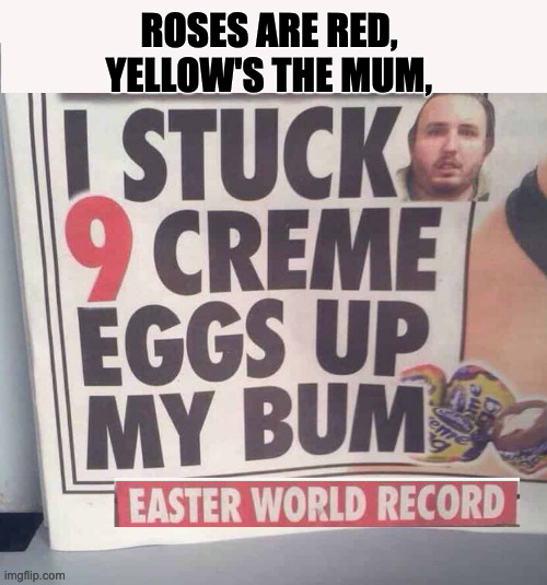 Amazing Feat! | ROSES ARE RED,
YELLOW'S THE MUM, | image tagged in roses are red,violets are blue,poem | made w/ Imgflip meme maker
