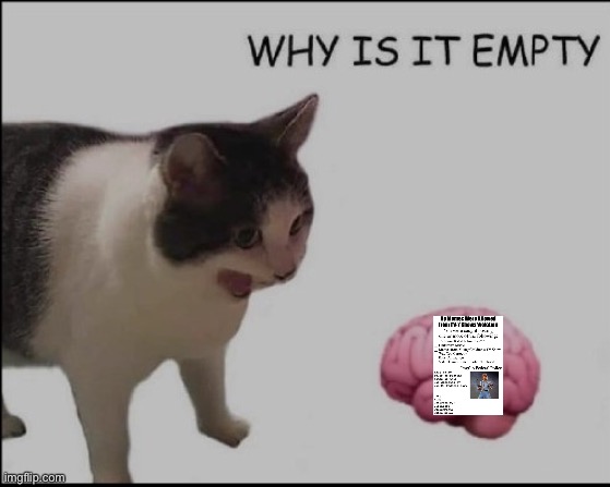 why is it empty? | image tagged in why is it empty | made w/ Imgflip meme maker