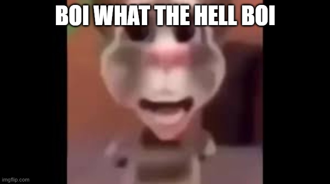 Boy What the Hell Boy | BOI WHAT THE HELL BOI | image tagged in boy what the hell boy | made w/ Imgflip meme maker