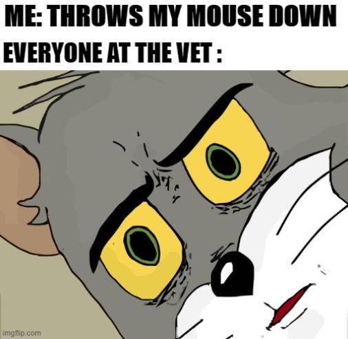 mouse | image tagged in funny | made w/ Imgflip meme maker