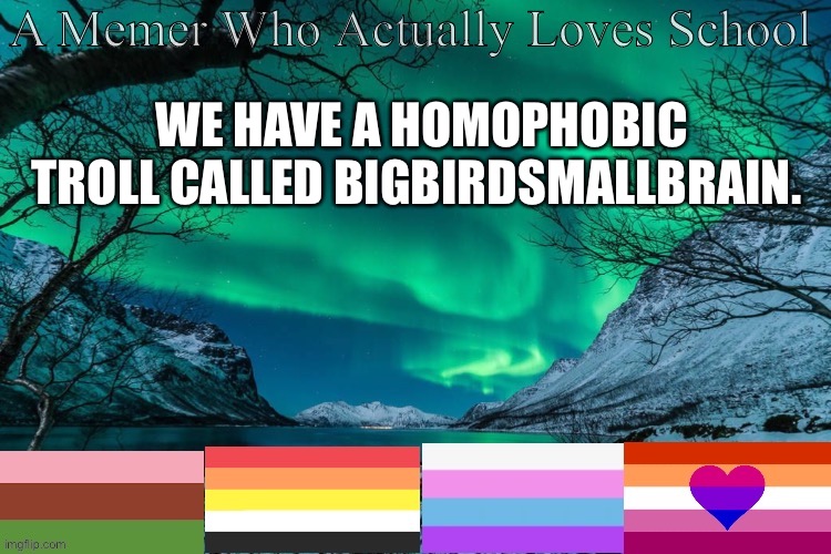 WE HAVE A HOMOPHOBIC TROLL CALLED BIGBIRDSMALLBRAIN. | made w/ Imgflip meme maker