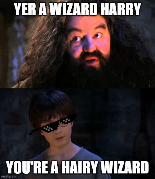 You are wizzard harry | YER A WIZARD HARRY; YOU'RE A HAIRY WIZARD | image tagged in you are wizzard harry | made w/ Imgflip meme maker
