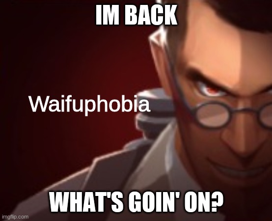 Waifu Phobia | IM BACK; WHAT'S GOIN' ON? | image tagged in waifu phobia | made w/ Imgflip meme maker