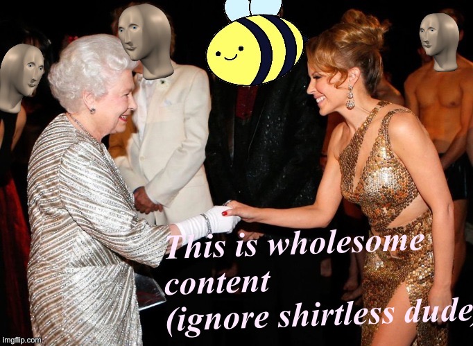 Kylie Queen beez | This is wholesome content (ignore shirtless dude) | image tagged in kylie queen beez | made w/ Imgflip meme maker