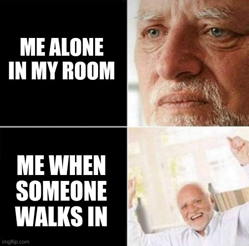 bipolar harold | ME ALONE IN MY ROOM; ME WHEN SOMEONE WALKS IN | image tagged in bipolar harold | made w/ Imgflip meme maker