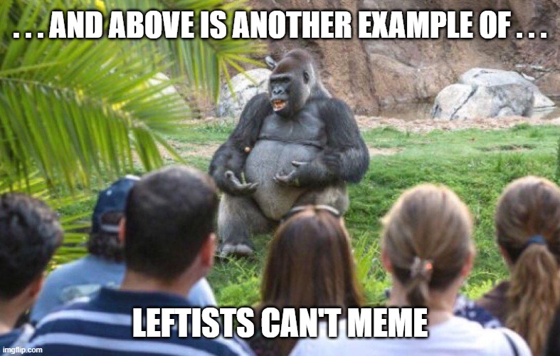 Gorilla lecture | . . . AND ABOVE IS ANOTHER EXAMPLE OF . . . LEFTISTS CAN'T MEME | image tagged in gorilla lecture | made w/ Imgflip meme maker