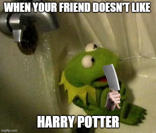 Harry Potter | WHEN YOUR FRIEND DOESN'T LIKE; HARRY POTTER | image tagged in kermit on shower | made w/ Imgflip meme maker