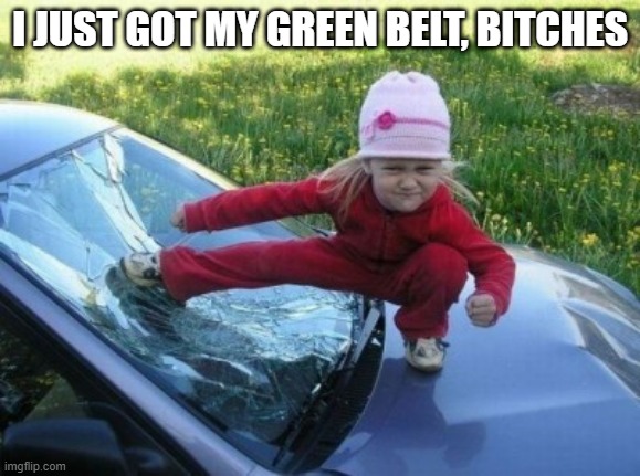 Green Belt | I JUST GOT MY GREEN BELT, BITCHES | image tagged in angry karate girl,karate,warehouse,work,green,leansixsigma | made w/ Imgflip meme maker