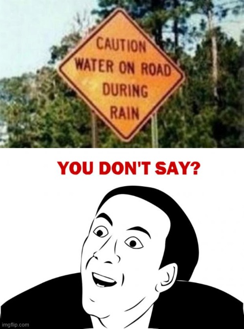 b-but i thought it could flood the road | image tagged in memes,you don't say | made w/ Imgflip meme maker
