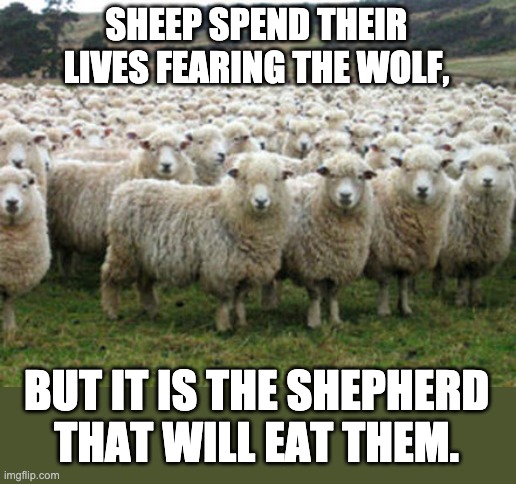 Beware of a government who "Only Wants to Care For You!" | SHEEP SPEND THEIR LIVES FEARING THE WOLF, BUT IT IS THE SHEPHERD THAT WILL EAT THEM. | image tagged in democrats are sheep | made w/ Imgflip meme maker