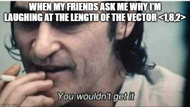 You wouldn't get it | WHEN MY FRIENDS ASK ME WHY I'M LAUGHING AT THE LENGTH OF THE VECTOR <1,8,2> | image tagged in you wouldn't get it | made w/ Imgflip meme maker