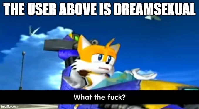 tails wtf | THE USER ABOVE IS DREAMSEXUAL | image tagged in tails wtf | made w/ Imgflip meme maker