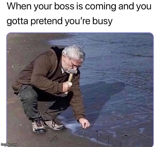 Oh no not the boss | image tagged in funny | made w/ Imgflip meme maker