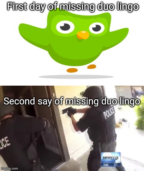 Duo lingo |  First day of missing duo lingo; Second say of missing duo lingo | image tagged in fbi | made w/ Imgflip meme maker