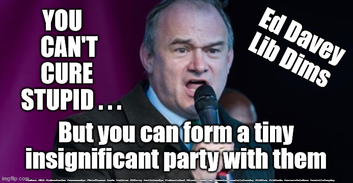 Lib Dems - Lib Dumb party | YOU    
CAN'T 
CURE  
STUPID . . . Ed Davey
Lib Dims; But you can form a tiny insignificant party with them; #Labour #BLM #LabourLeader #wearecorbyn #KeirStarmer #woke #wokeism #EdDavey #cultofcorbyn #labourisdead #blacklivesmatter #Momentum #socialistsunday #LibDims #LibDumbs #nevervotelabour #socialistanyday | image tagged in ed davey - lib dem,lib dim lib dumb,dumb dumb davey,brexit remoaner,immigration asylum | made w/ Imgflip meme maker