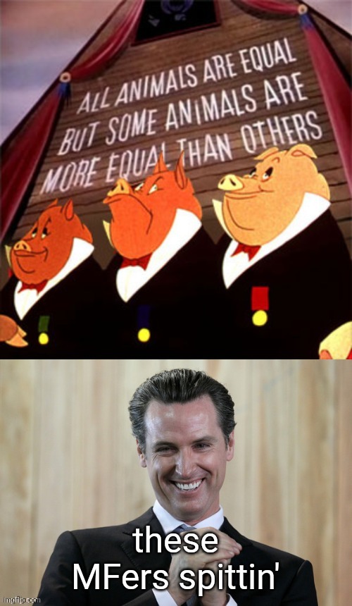 animal house newsom | these MFers spittin' | image tagged in animal house newsom | made w/ Imgflip meme maker