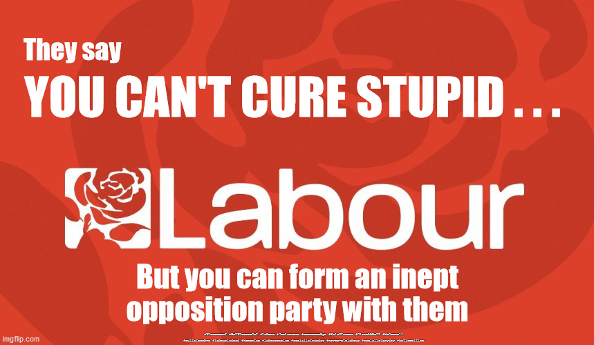 Labour - Can't cure Stupid | They say; YOU CAN'T CURE STUPID . . . But you can form an inept opposition party with them; #Starmerout #GetStarmerOut #Labour #JonLansman #wearecorbyn #KeirStarmer #DianeAbbott #McDonnell #cultofcorbyn #labourisdead #Momentum #labourracism #socialistsunday #nevervotelabour #socialistanyday #Antisemitism | image tagged in starmer new leadership,labourisdead,immigration asylum,woke wokeism,univeral credit uplift,starmerout getstarmerout | made w/ Imgflip meme maker