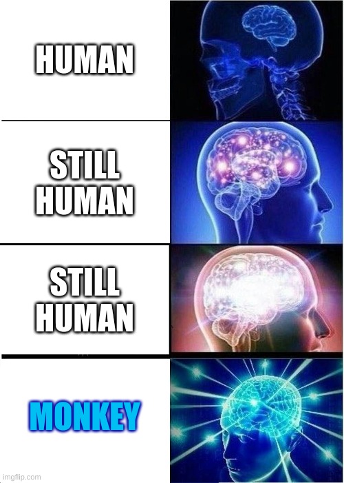 monkey | HUMAN; STILL HUMAN; STILL HUMAN; MONKEY | image tagged in memes,expanding brain | made w/ Imgflip meme maker