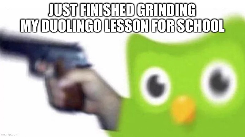No vanishing today | JUST FINISHED GRINDING MY DUOLINGO LESSON FOR SCHOOL | image tagged in duolingo gun | made w/ Imgflip meme maker