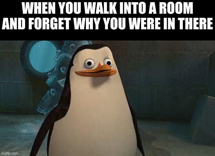 si tenemos piernas y no patas | WHEN YOU WALK INTO A ROOM AND FORGET WHY YOU WERE IN THERE | image tagged in si tenemos piernas y no patas | made w/ Imgflip meme maker