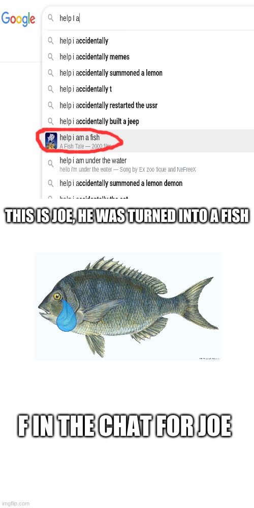 Help Joe |  THIS IS JOE, HE WAS TURNED INTO A FISH; F IN THE CHAT FOR JOE | image tagged in memes,blank transparent square,help,fish,save me | made w/ Imgflip meme maker