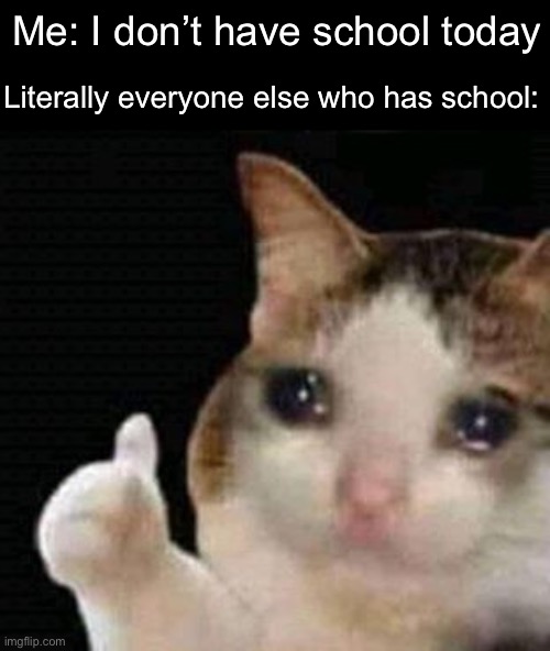 crying thumbs up | Me: I don’t have school today; Literally everyone else who has school: | image tagged in crying thumbs up | made w/ Imgflip meme maker